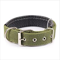 Ecloud Shop® Duradero y cómodo para Mascotas Collar de Perro sólido clásico Collar de Perro de Nylon poliéster básico 2…
